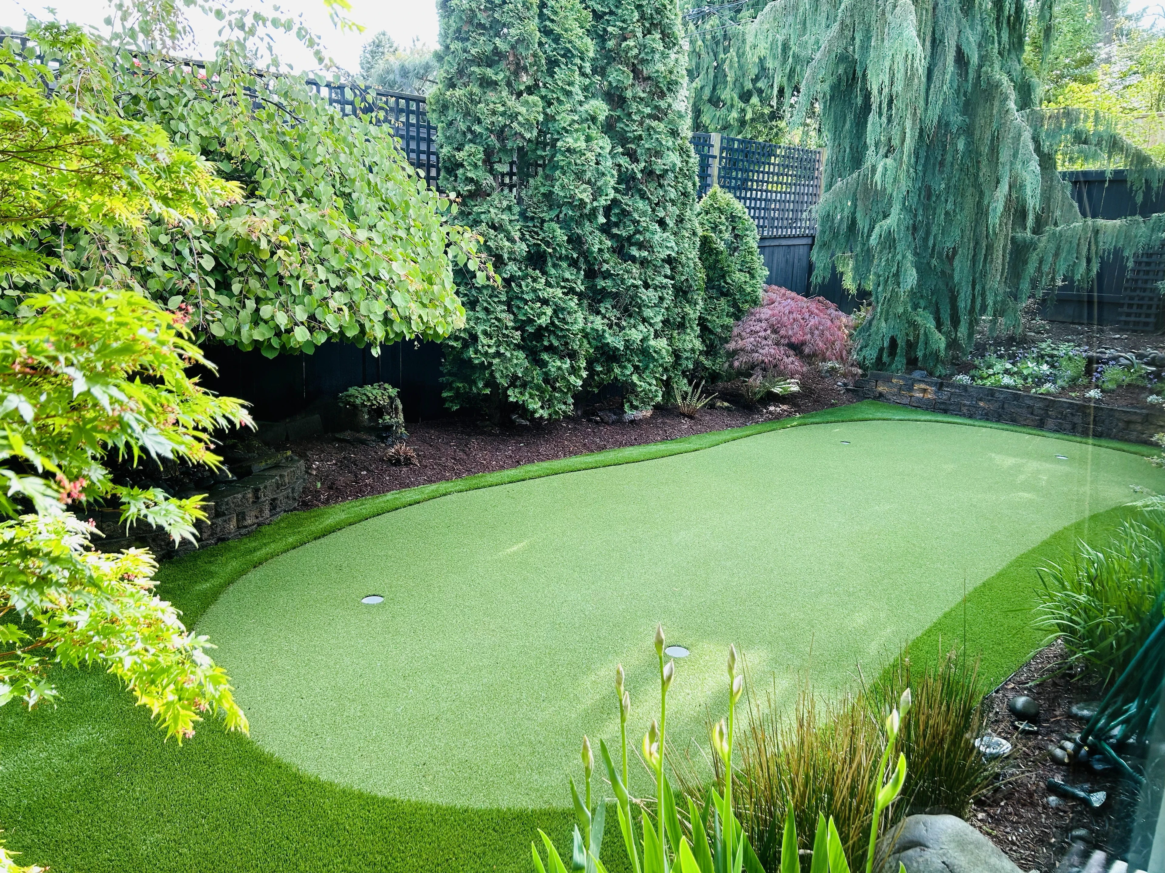 A putting green with several cups surrounded by mature garden planting