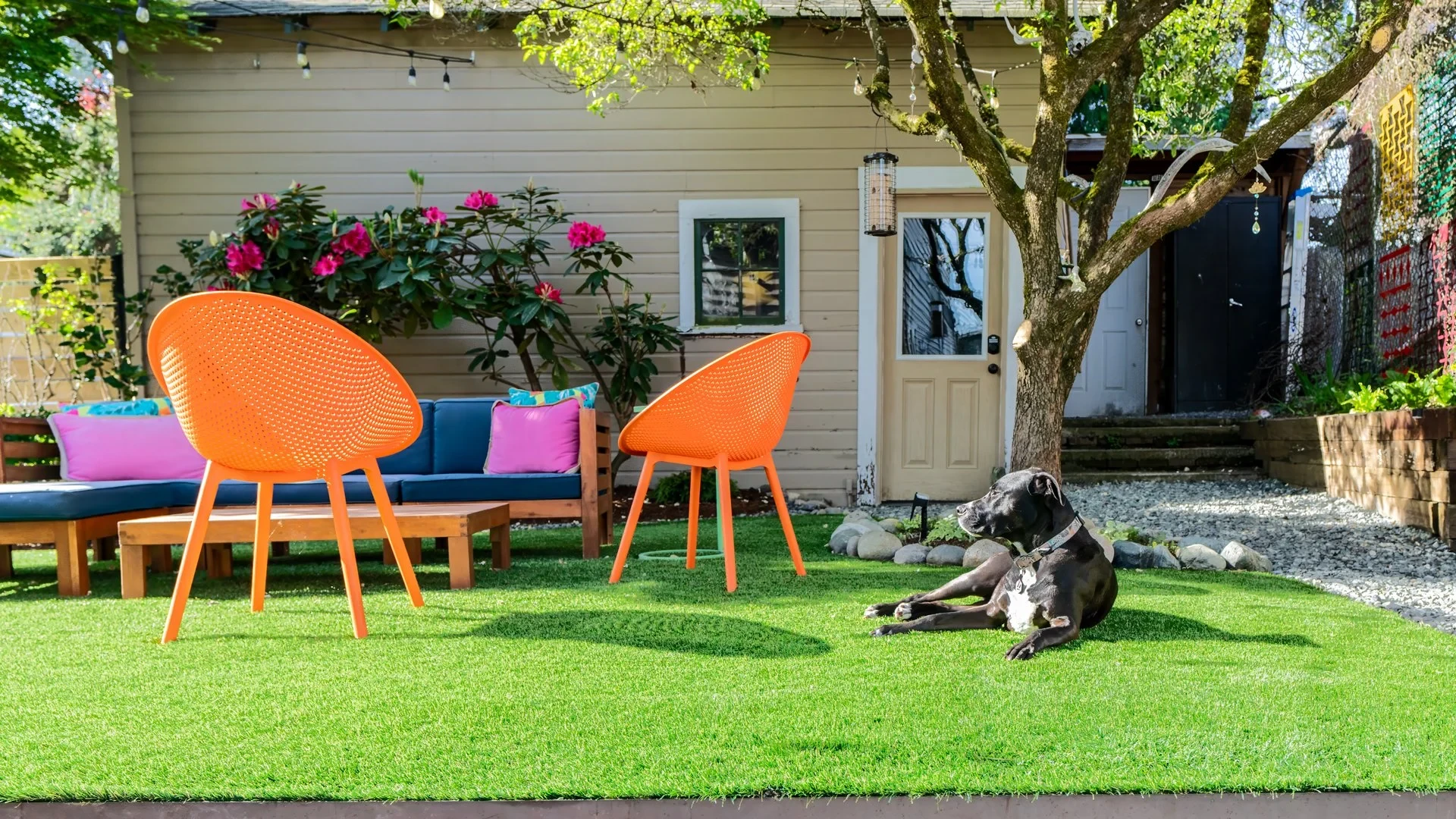 A dog relaxing on turf beside a colorful outdoor seating area