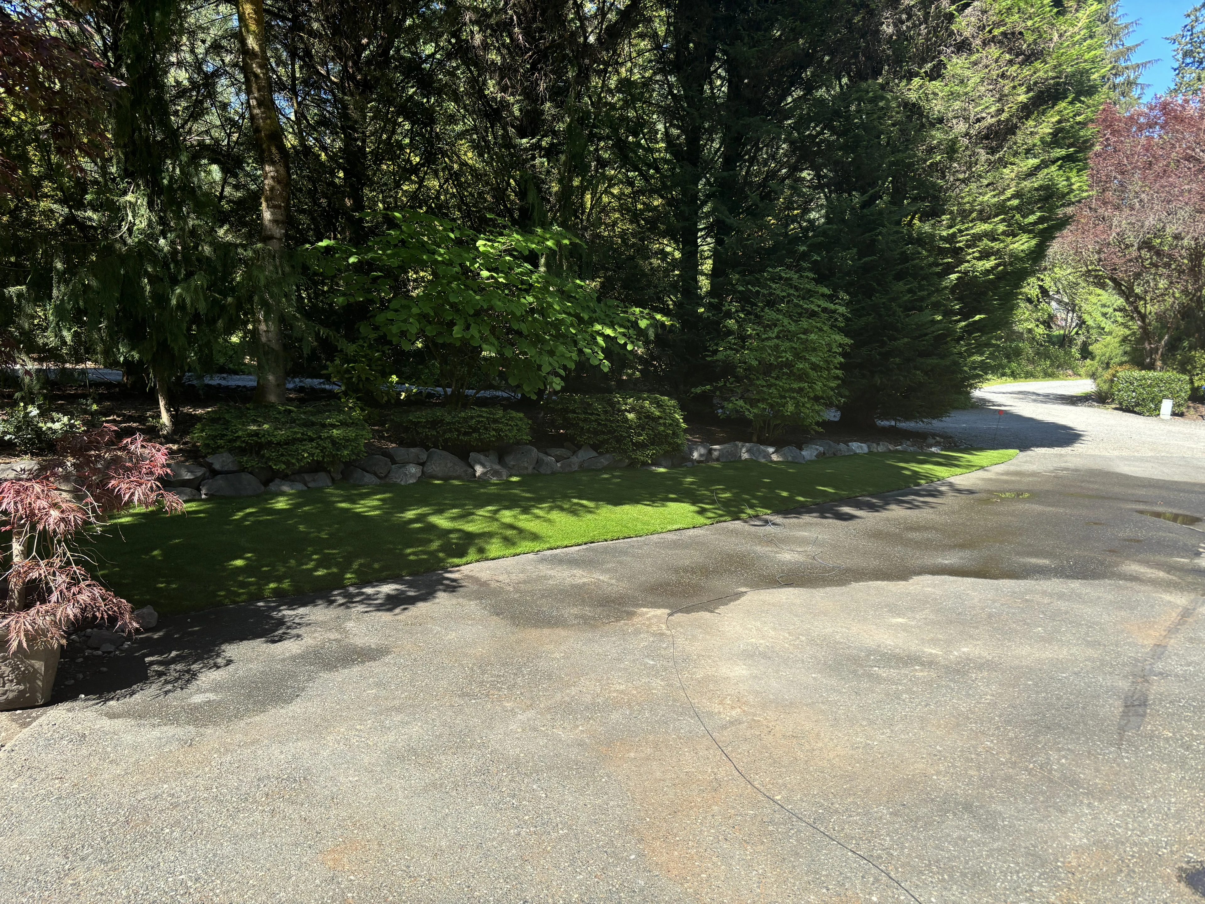 Customer photograph of a curving turf lawn bordering a wooded garden and driveway